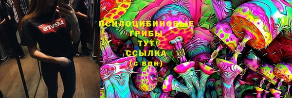 скорость Корсаков