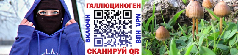 Псилоцибиновые грибы Magic Shrooms  Коммунар 